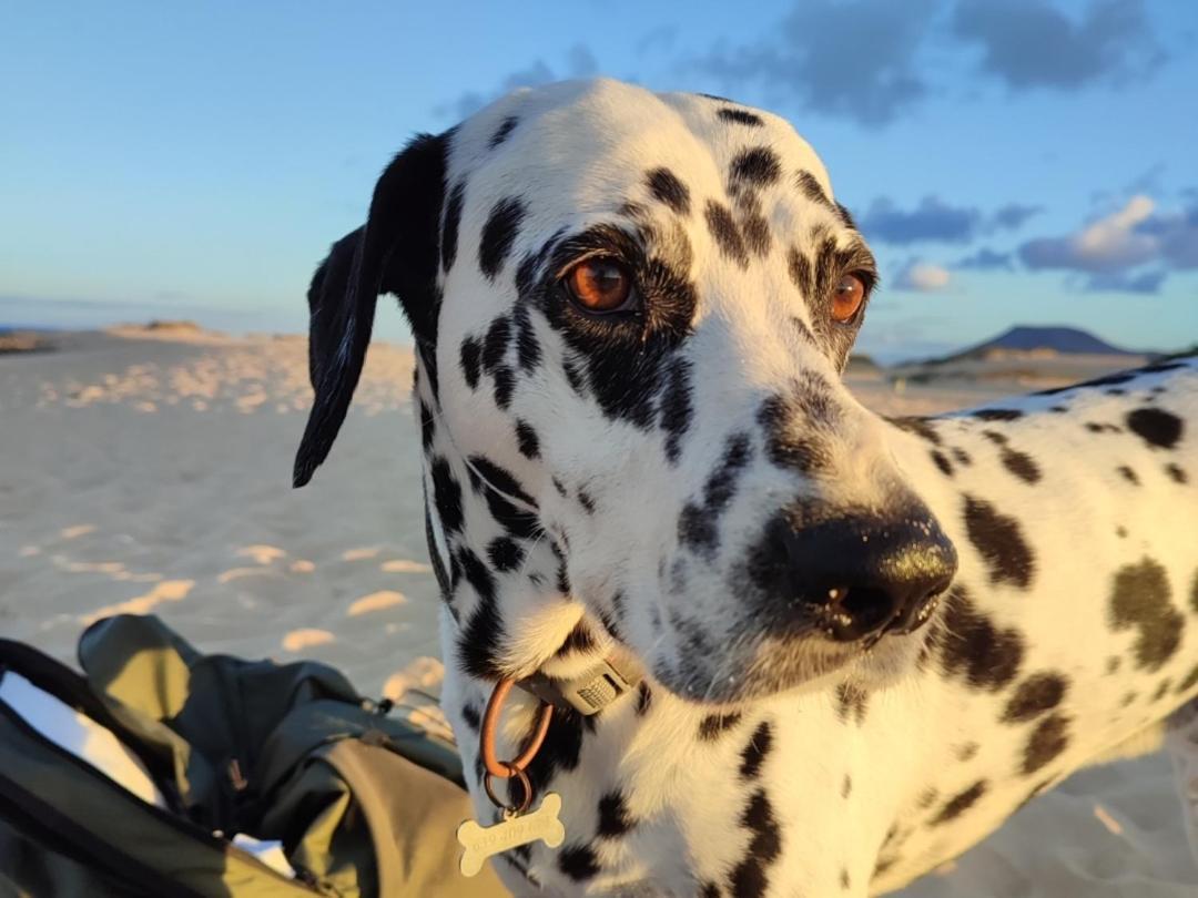 Alojamiento Fuerteventura Tikuna ลาโอลีวา ภายนอก รูปภาพ